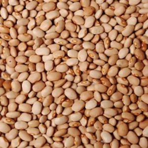 Honey Beans- Ewa Oloyin (100% Natural)