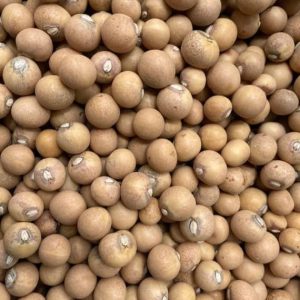Bambara Beans (Whole)
